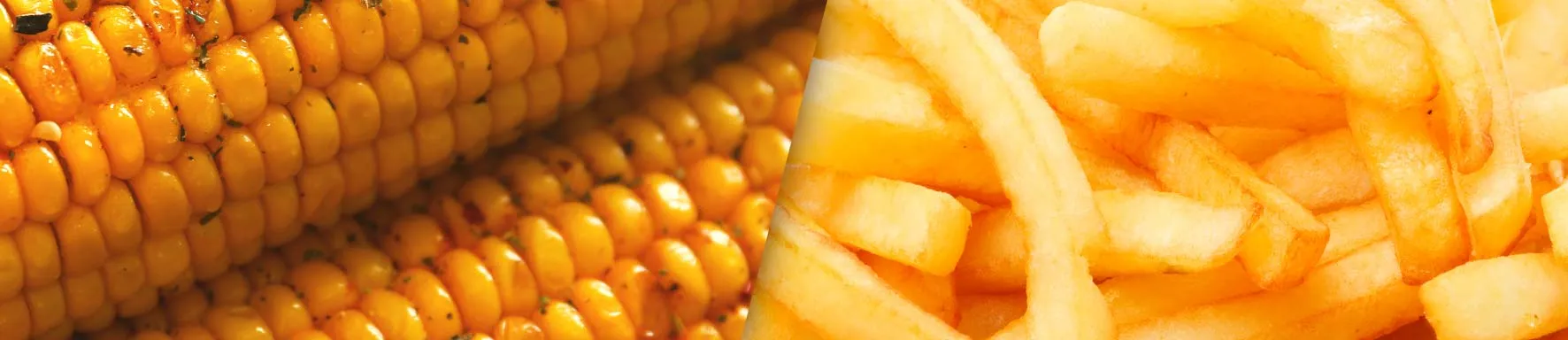 🍟 Bijgerechten